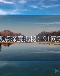 网友观点深度揭秘：91网完整版