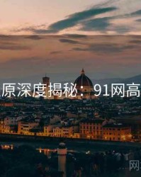 数据还原深度揭秘：91网高清资源