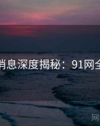 一线消息深度揭秘：91网全纪录