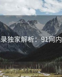 全景记录独家解析：91网内幕浮现