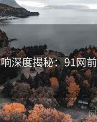 社交影响深度揭秘：91网前因后果