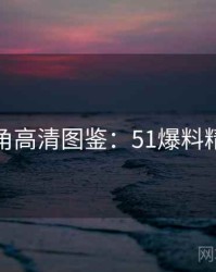 独家视角高清图鉴：51爆料精彩看点