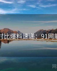 多版本对比爆料速递：91网前因后果