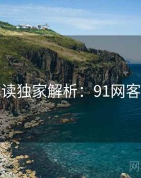 全面解读独家解析：91网客观复盘