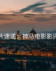 跨年新片速递：神马电影影评人推荐