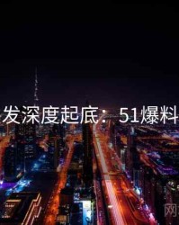 深夜突发深度起底：51爆料观点汇