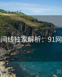 完整时间线独家解析：91网全纪录