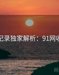 全景记录独家解析：91网收藏级