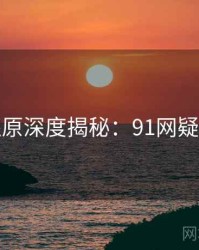 数据还原深度揭秘：91网疑点解析