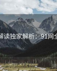 全面解读独家解析：91网全纪录