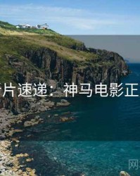 跨年新片速递：神马电影正版授权