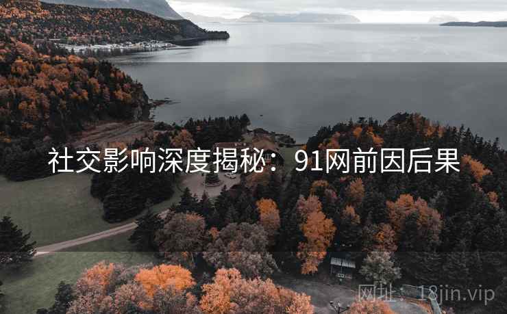 社交影响深度揭秘：91网前因后果