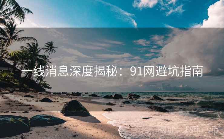 一线消息深度揭秘:91网避坑指南 一线消息深度揭秘:91网避坑指南